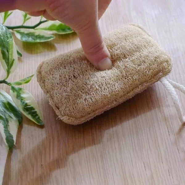 Éponge naturelle et biodégradable en luffa - Image 5