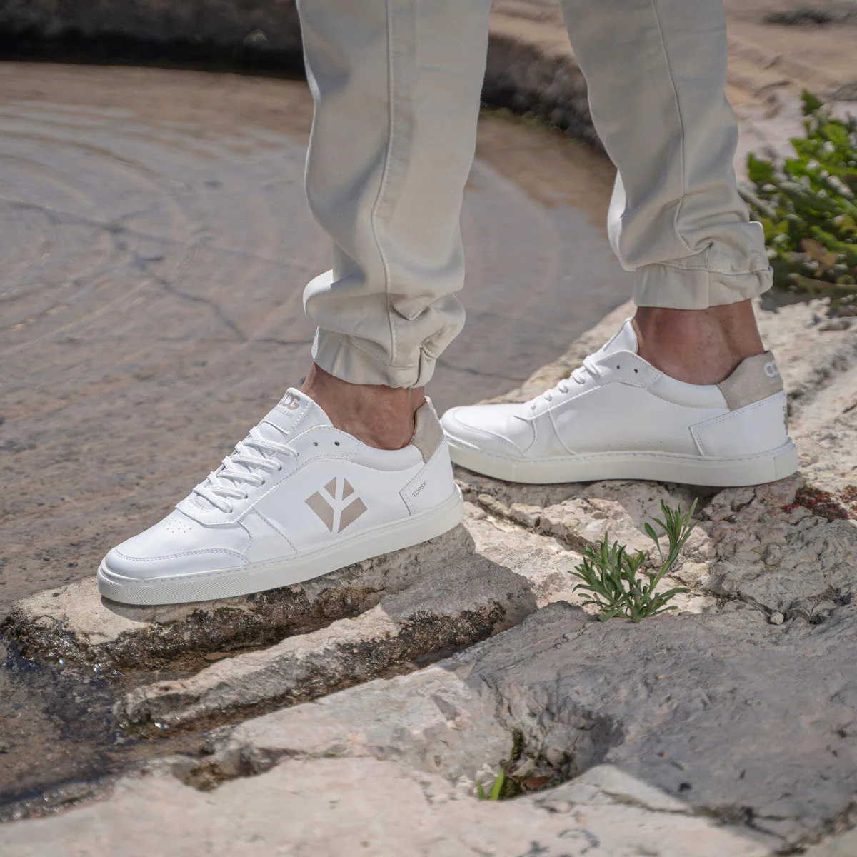 Baskets véganes Blanc / Beige unisexe - Topsy - Image 4